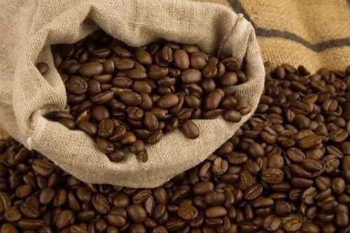 Best Coffee Beans