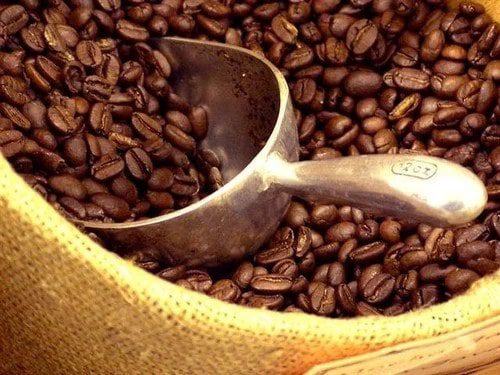 Best Coffee Beans