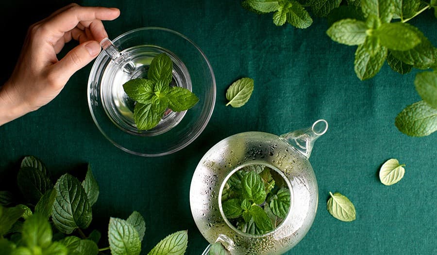 Spearmint Tea