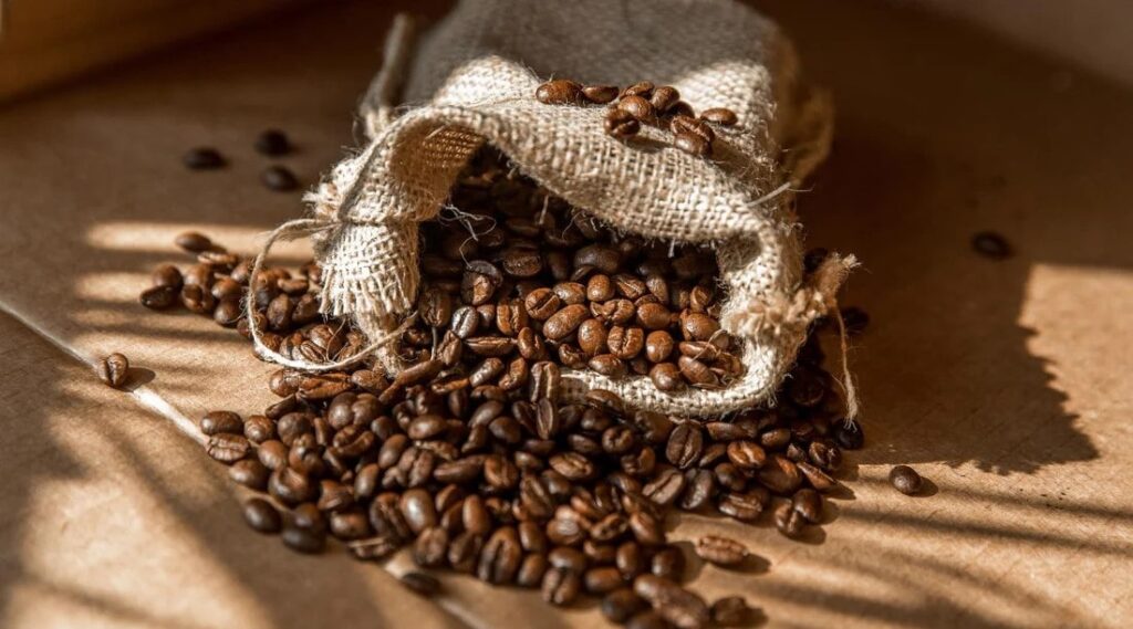 Best Coffee Beans