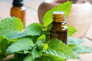 What Makes Lemon Balm Oil So Effective